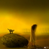 pic pic