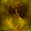 pic pic